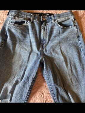 torrid High Rise Straight Light Wash Blue Jeans